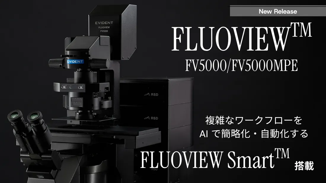 共焦点顕微鏡「FLUOVIEW」向け新機能「FLUOVIEW Smart」